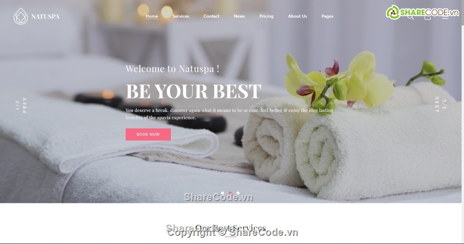 website html spa,website spa,html website spa salon,Template website spa salon